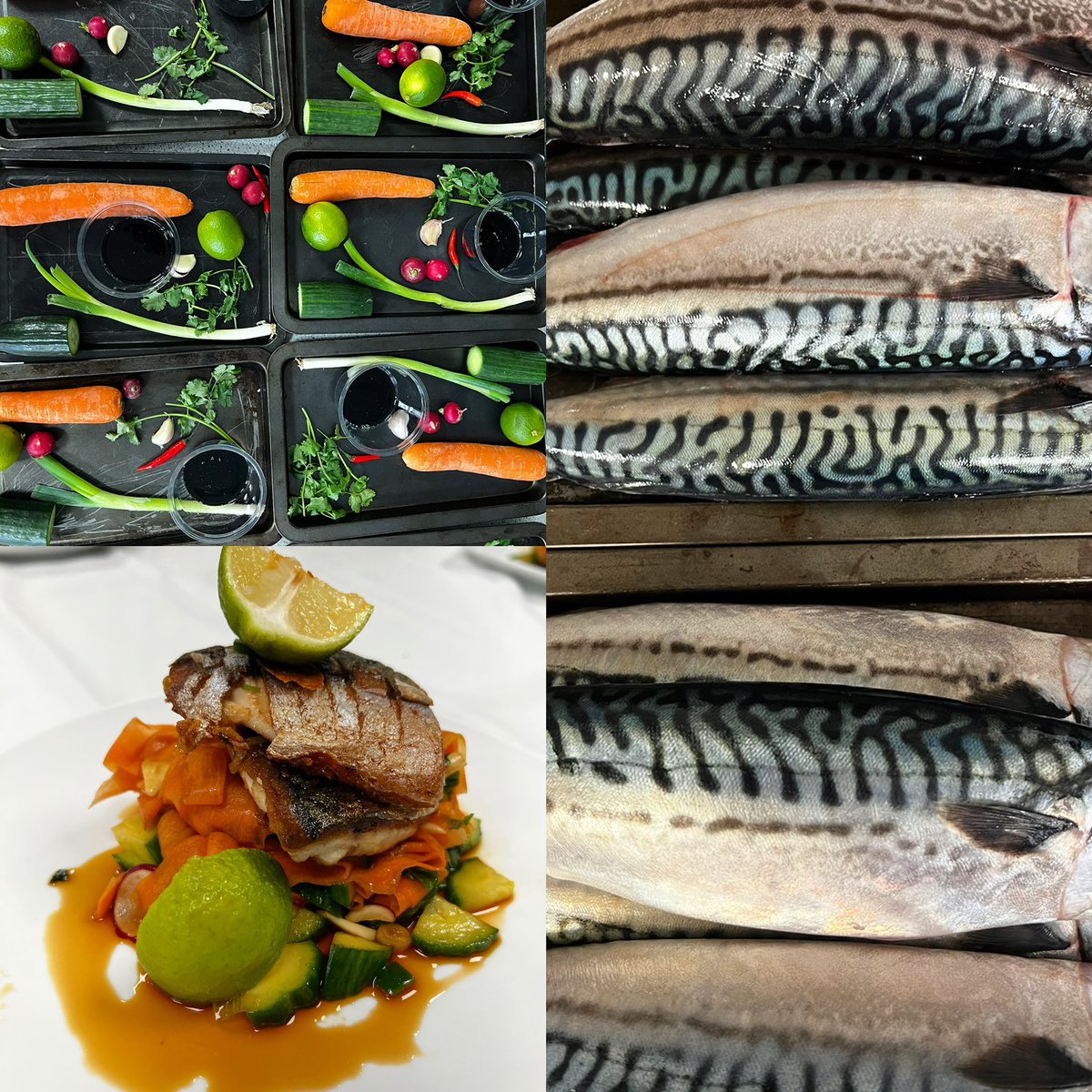 KEVIHWGA's tweet photo. Our year 10 food tech students have spent the afternoon in their second masterclass of the academic year. Big thanks to Chef Cale from Chartwells. What a great experience, they can’t wait for the next one! #hpl #fishmasterclass #precision https://t.co/lvr6JSoETM