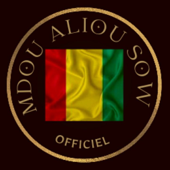 Mdou Aliou Sow FR tweet media