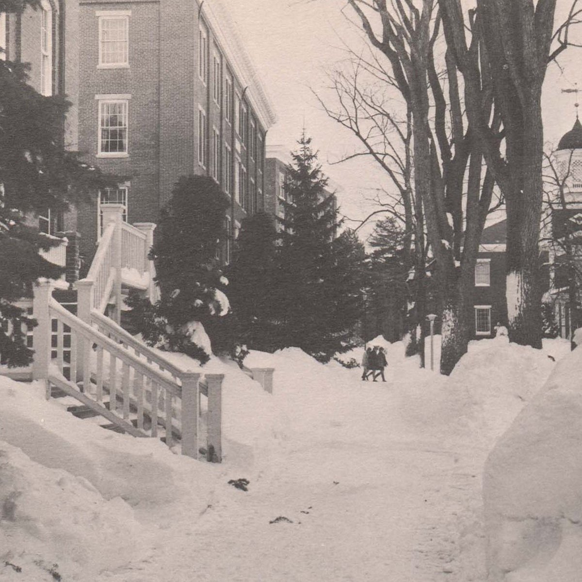 UNE Library Services tweet media