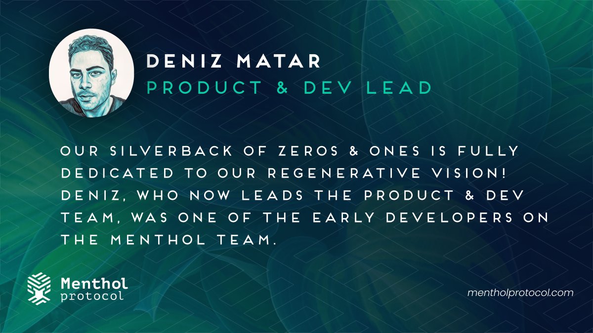 Menthol Protocol🌍 tweet media