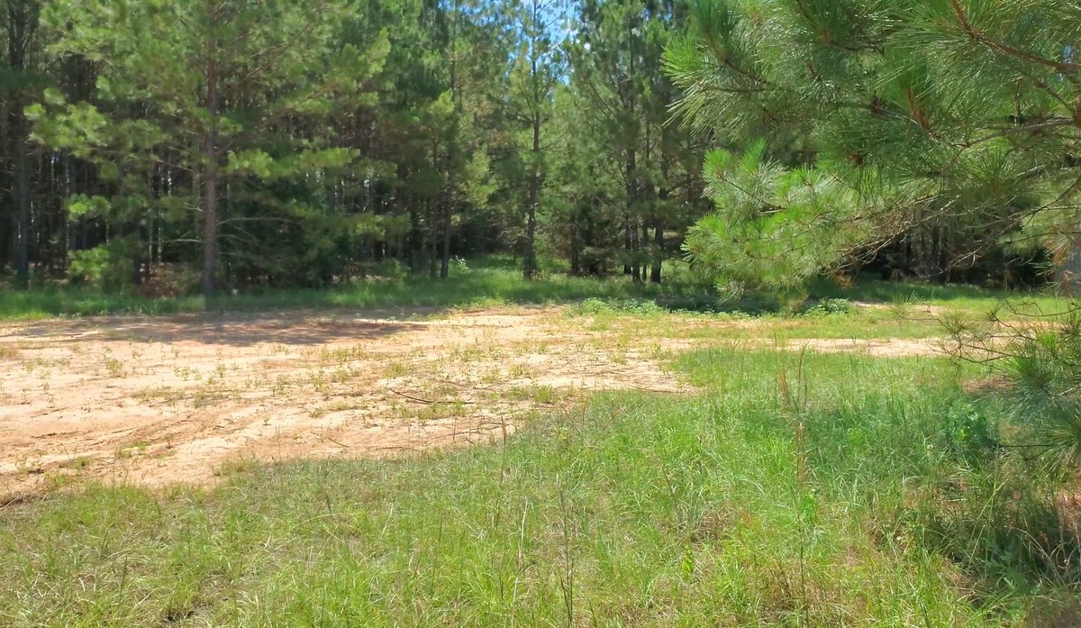 Okay, Gardeners - -

What would you do with this space?
Plans?
Ideas?
#TexasGarden