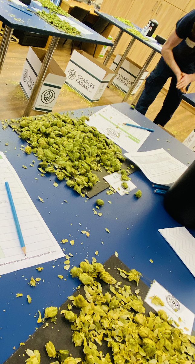 RoostersOl's tweet photo. Great day judging at the International Hop awards @CharlesFaram today

Some really nice, stand out hops from their development programme got the old nose twitching!

Condiments to all involved in putting together a fine array of hops https://t.co/v9Zg26VEUp