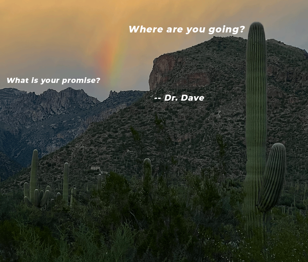 What is your promise? -  Dr. Dave KnolShare Stories Newsletter - mailchi.mp/knolshare/drda…