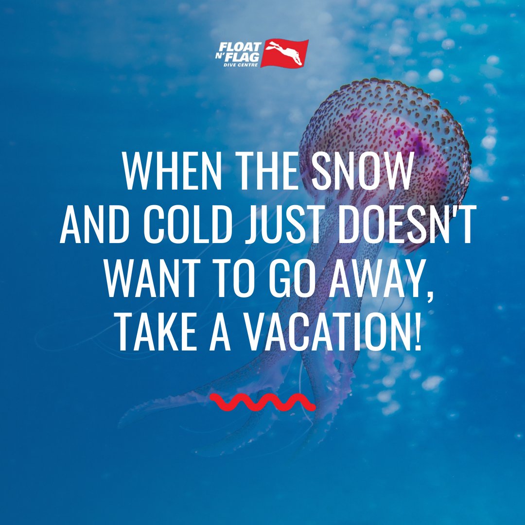 FloatnFlag's tweet image. Come January, we're already done with Winter and it's only just begun! Why not cut your Wintery days short by hopping on a plane to sunshine and endless beaches. It's not too good to be true. We'll gladly put together your perfect trip!

We're waiting: floatnflagtravel.com/appointment