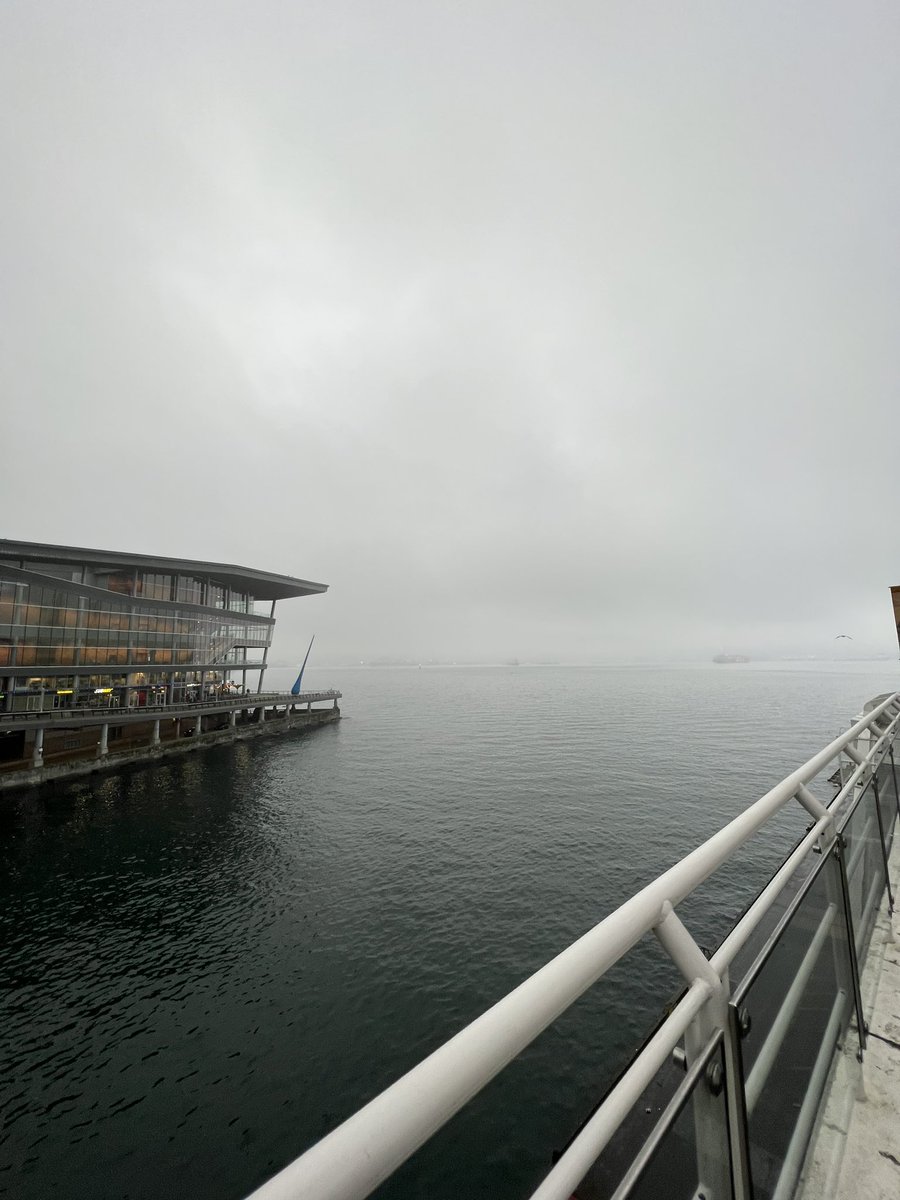 Joel Hansen tweet media