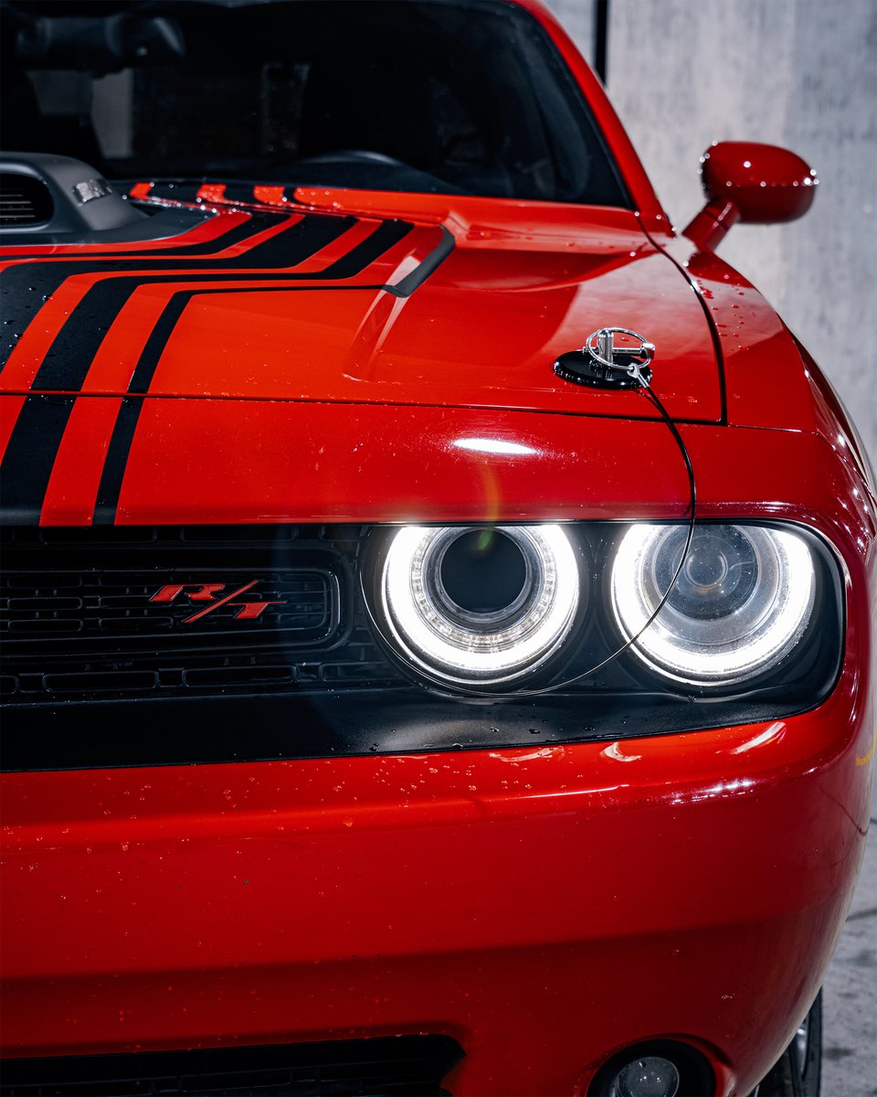 dodgeoman's tweet photo. Eye contact with a Dodge may result in deafening roars.

نظرة تحدي واحدة كفيلة بهدير يرعب المنافسين.

#Dodge #DodgeChallenger #Challenger
#دودج #دودج_تشالنجر #تشالنجر https://t.co/ua3jzLeIHR