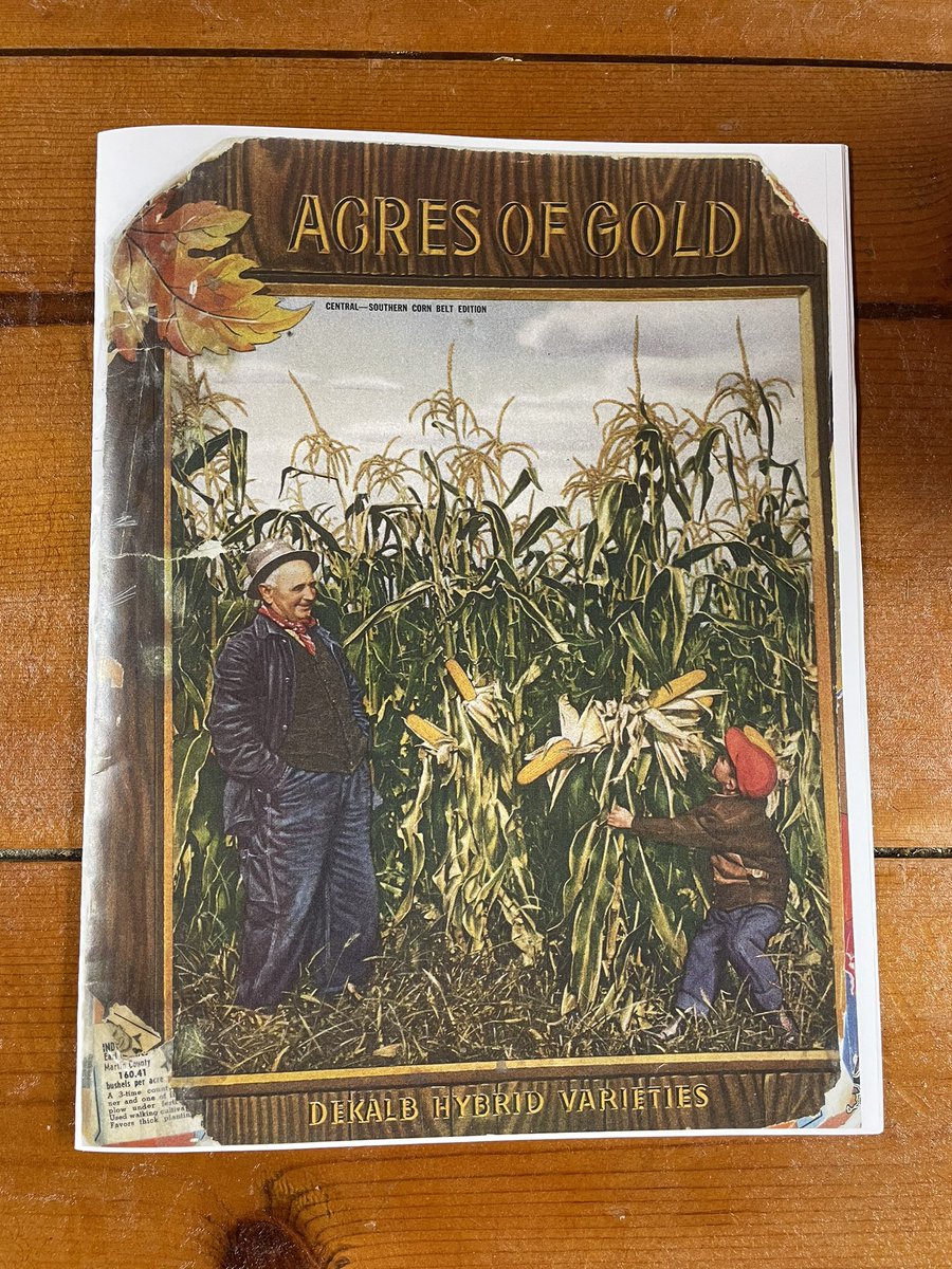 Russell Kavan tweet media