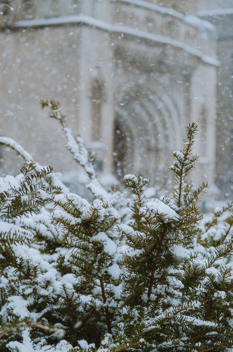 Lauren Lee tweet media