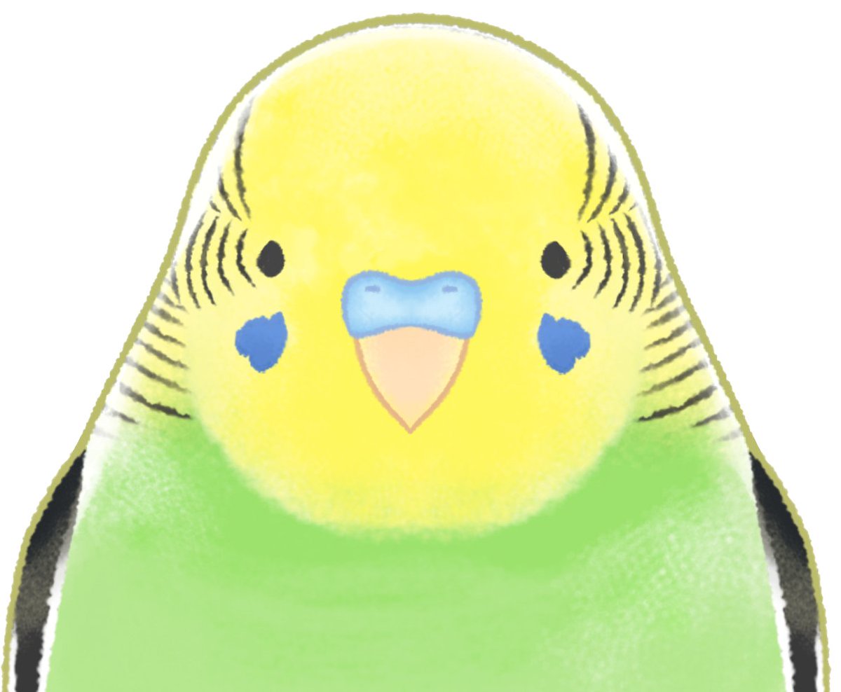 Limon Ch. tweet media