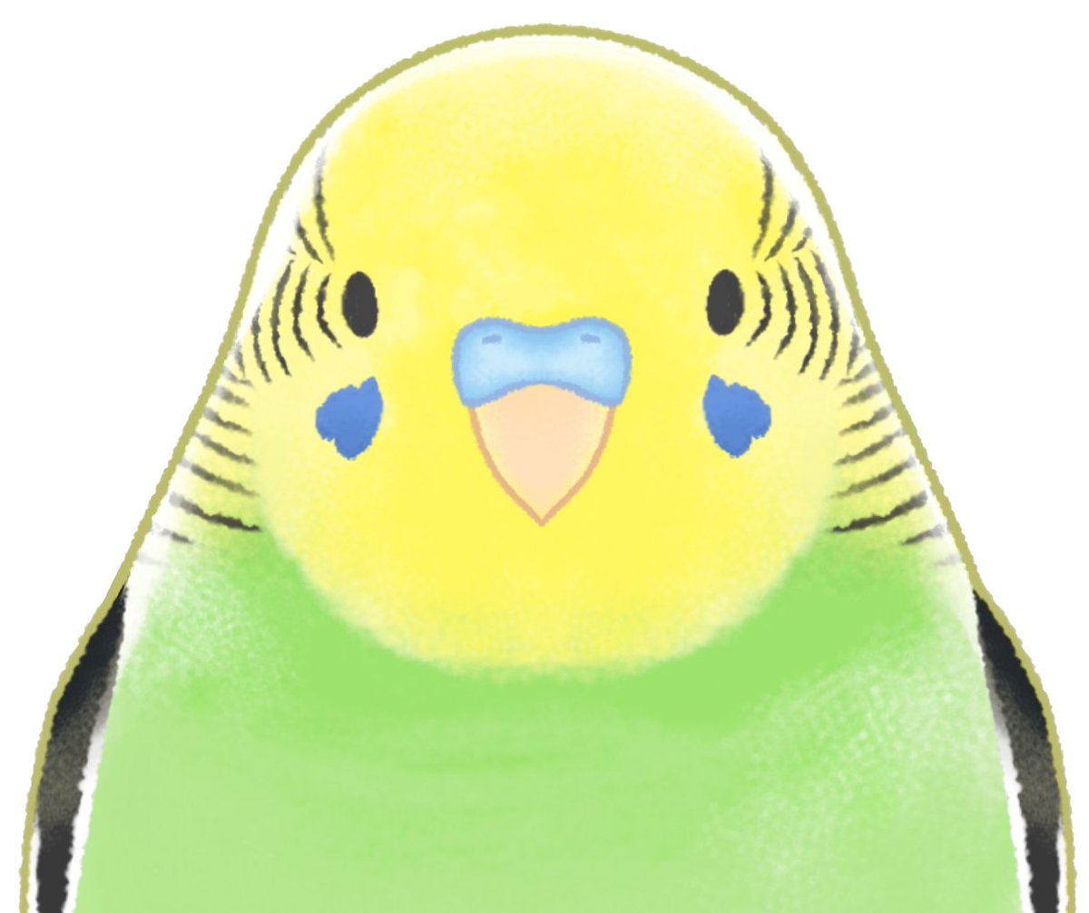 Limon Ch. tweet media