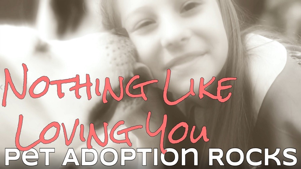Finding a human who will love you without conditions is rare, but pets? They’re experts when it comes to that....

Follow for more:
rockeramagazine.com/nothing-like-l…

#hardrock #rock #heavymetal #classicrock #metalhead #rockandroll #thrashmetal #deathmetal #punkrock #metalcore