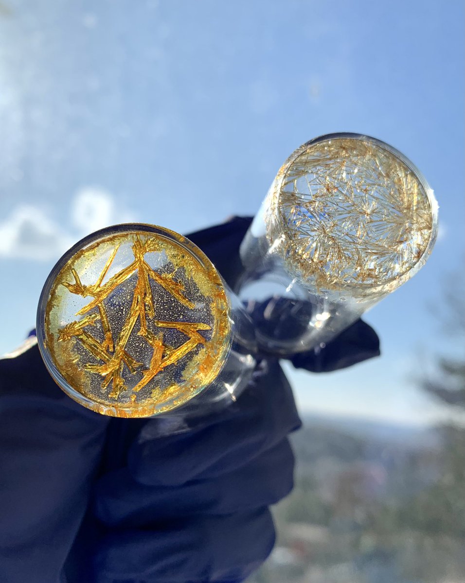 Beatrice Bartolomei tweet media