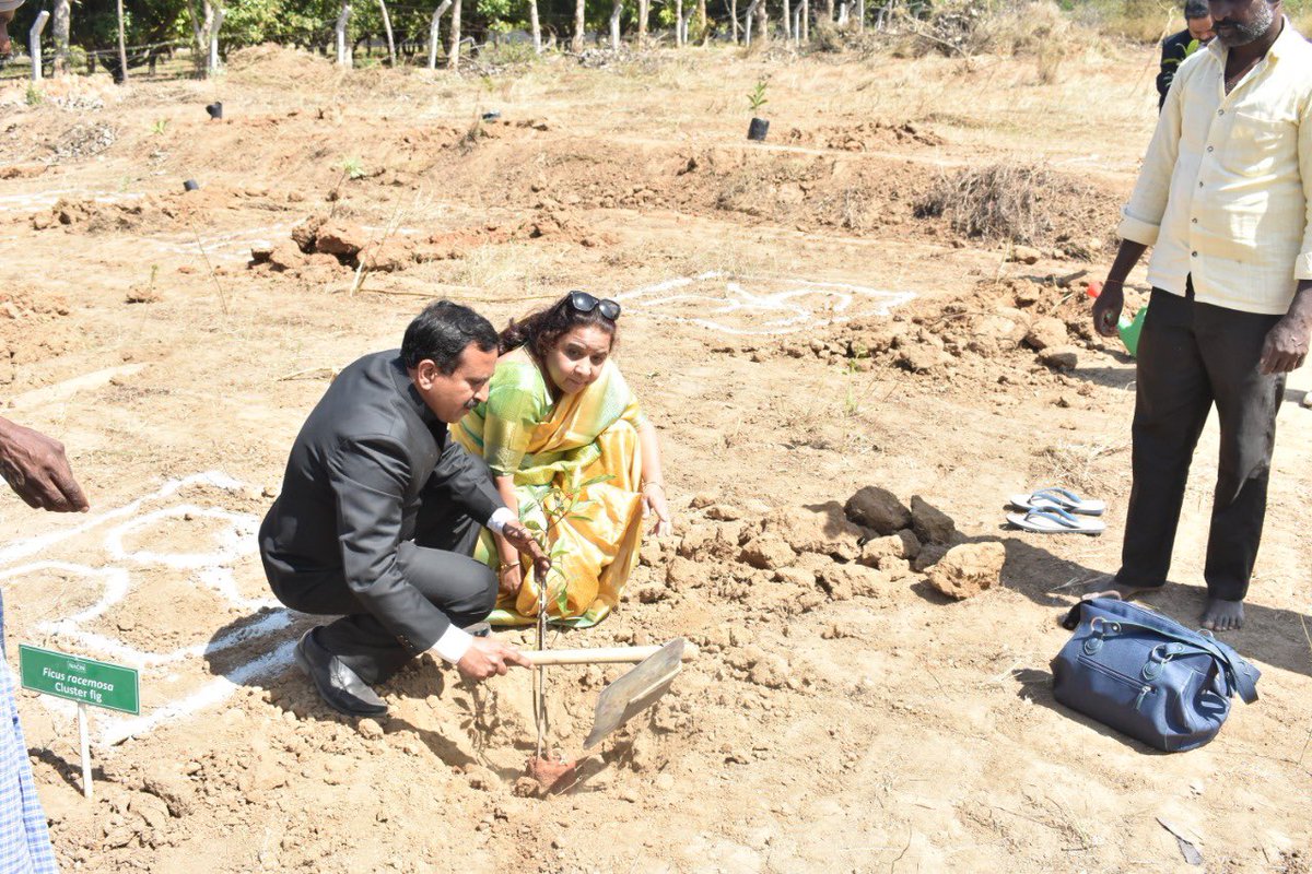 BengaluruNacin's tweet photo. Under Padachihnam - Plant &amp; Adopt Scheme(PAS), the Officer Trainees of 74th Batch IRS Probationers planted and adopted trees in presence of ADG Sh G Narayanaswamy &amp; ADD Sh Sujithkumar P Sompur at NACIN Palasamudram Campus on the occasion of 74th Republic Day. (1/2) https://t.co/lQiW5dYUkU