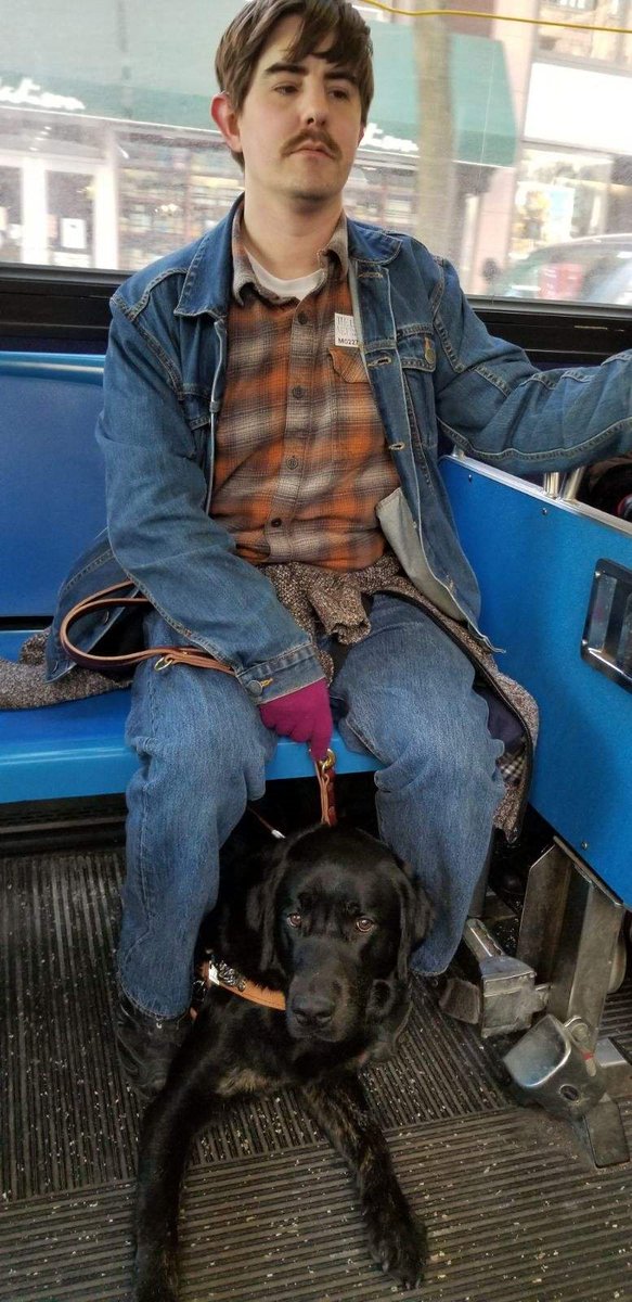 non_drivers's tweet photo. “My guide dog Sprocket and I were crossing at a busy intersection. As we stepped off the curb, a car turned right and hit my dog’s face. I still carry street crossing anxiety when confronted with busy intersections.” Vaughn, Spokane
#NoRightOnRed https://t.co/kZJm0qEPyU
