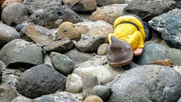 Cecelia Taylor tweet media