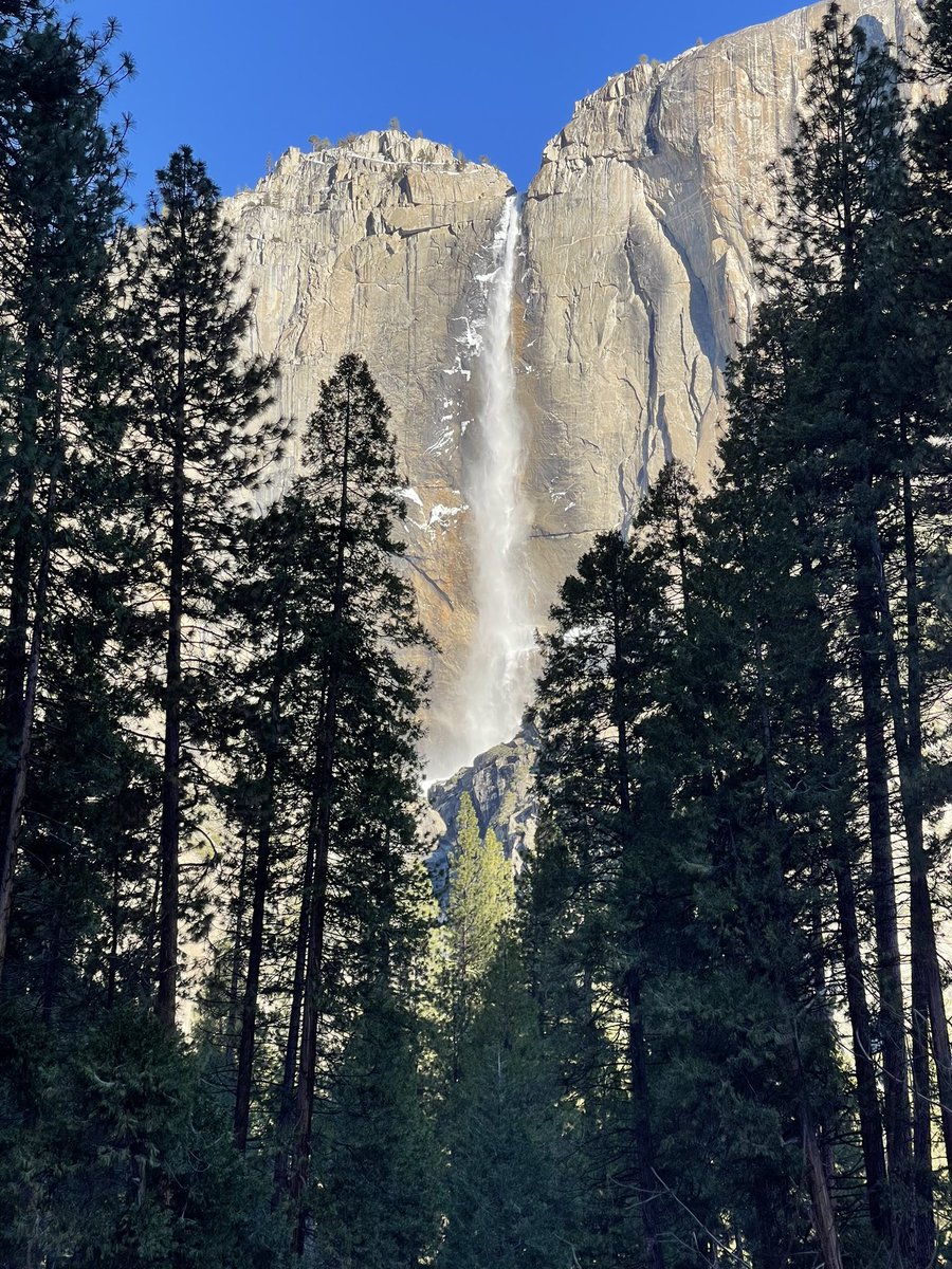 Good morning from Yosemite #yosemitefalls #califonia