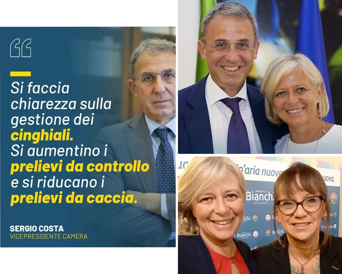 Assieme ai nostri Sergio Costa in Parlamento e Donatella Bianchi in Regione Lazio, continuerò il lavoro cominciato CONTRO la #caccia e a tutela del #benessereanimale (oltre a quello di noi umani, che spesso crediamo essere noi al centro dell'#universo!) 🦊
m.facebook.com/story.php?stor…