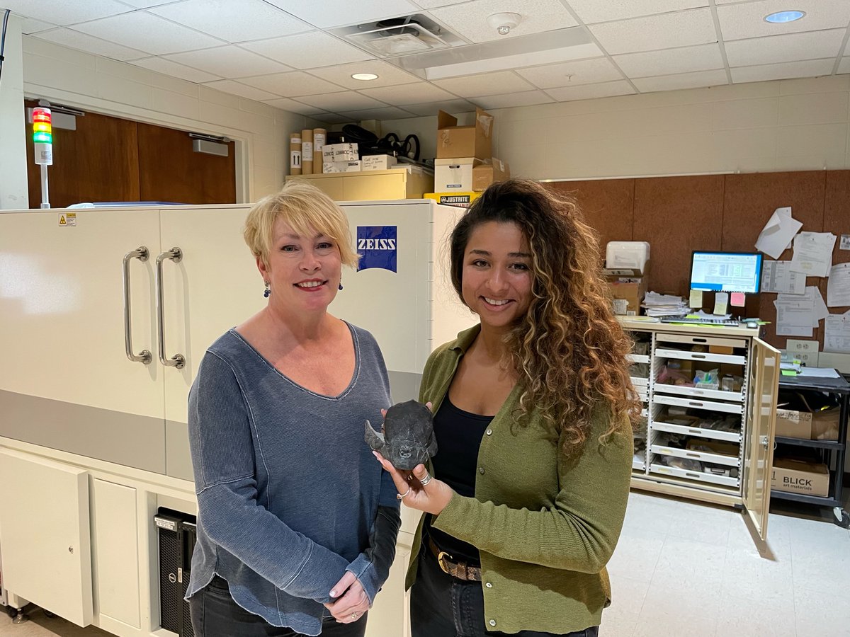 UTexasCT's tweet image. Earlier this week @Yara_Haridy from @UChicago was visiting the lab and she brought down a wide selection of #Devonian and #Cambrian fossils to scan. Yara’s focus is using #uCT to look for evidence on the origin of ossification in the Cambrian Period.