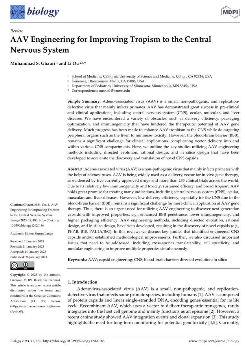 Muhammad Ghauri tweet media