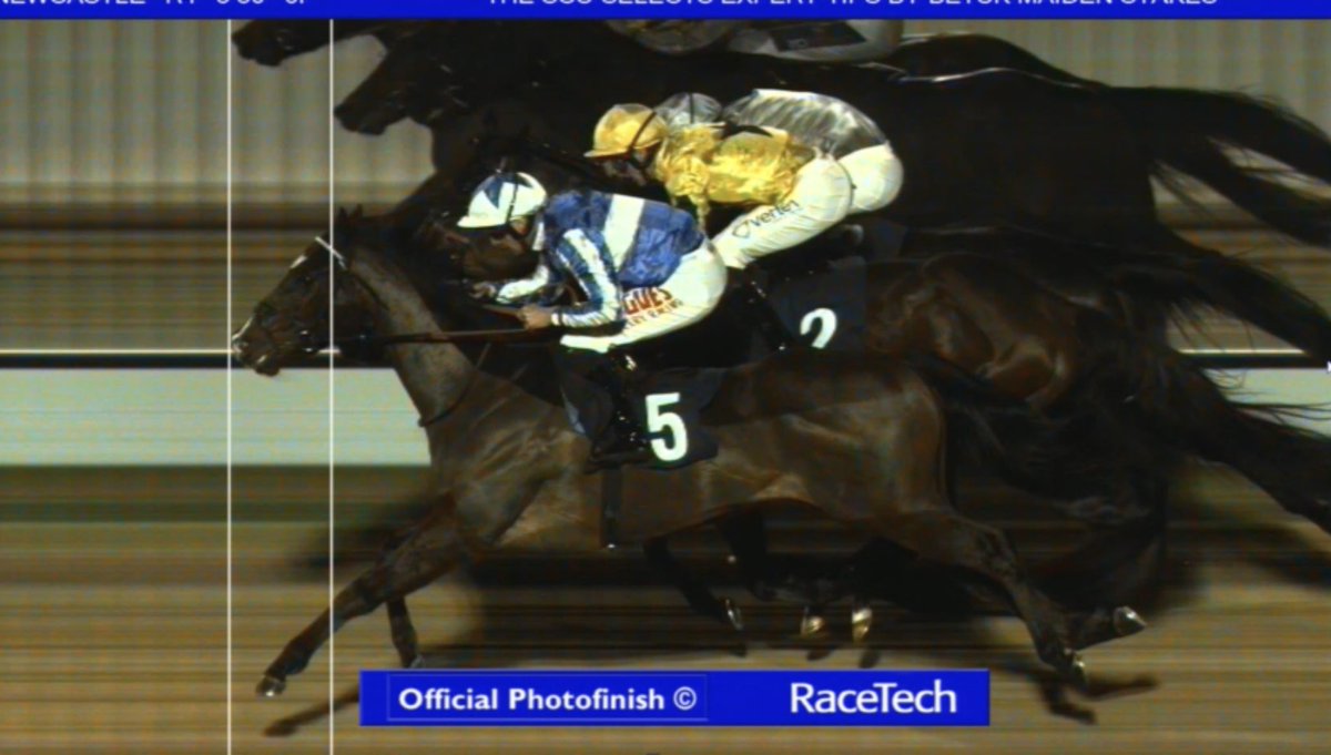 GetYourTipsOut's tweet photo. Definitely won a shade cosily at the line!
#FoxMaster https://t.co/gfmsGbMnEs