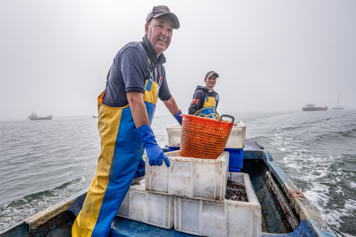 Holy Island fisherman Paul Douglas faces the closure of his business if the fishing ban is put in place. Watch and listen @spotify bit.ly/3WEwEaL
Pls RT to help raise awareness.
#savetheholyislandfishermen 
<a href="/theresecoffey/">Thérèse Coffey</a> @annietrev 
📷<a href="/MadCowFudge/">Charlotte Graham</a>
📷📹 <a href="/homeofsocial/">Home of Social</a>