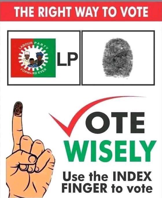 akhidenoreneze's tweet image. This is how you should vote come 25th Feb. Be patriotic.
I pledge to Nigeria my country, to be faithful loyal and honest...
#howtovote, #TakeBackNaija, #ObidientMovement
@labour @PeterObi