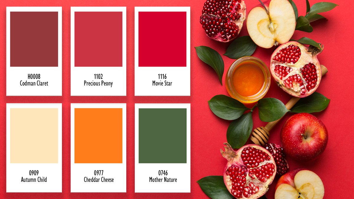 Vista Paint tweet media