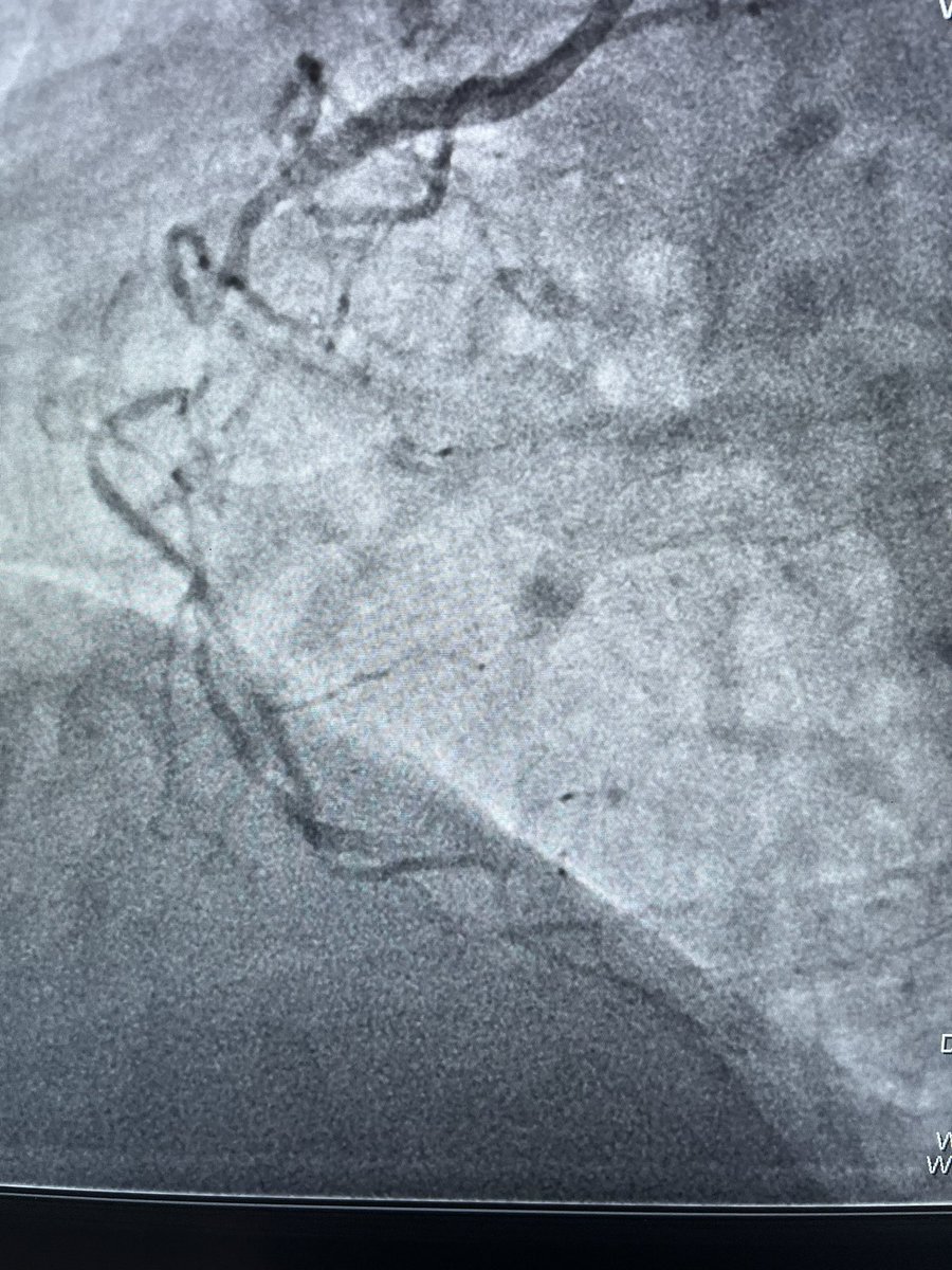 Cerrahpasa cardiology tweet media