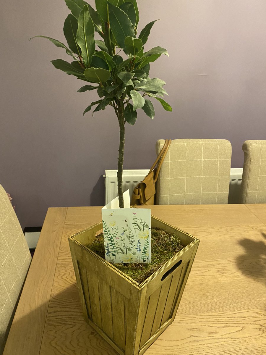 Odessa2002's tweet photo. Lovely and thoughtful gift from my Cardiothoracic Theatre colleagues….very much appreciated  💔💔#cardiothoracicfamily https://t.co/JWtU5cGv64