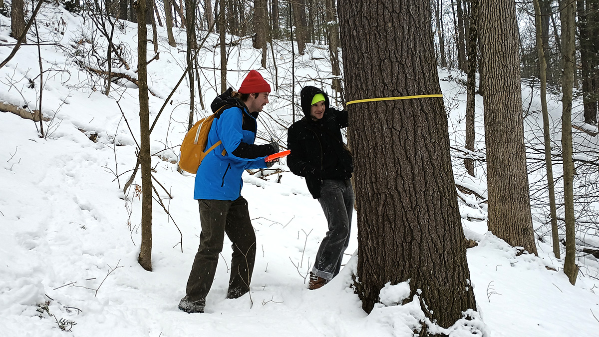 UVM_RSENR's tweet photo. A field lab in snowy Centennial Woods where Forestry students refresh their forest measurement skills. #UVMforestry #rsenr https://t.co/6JM08cMABk