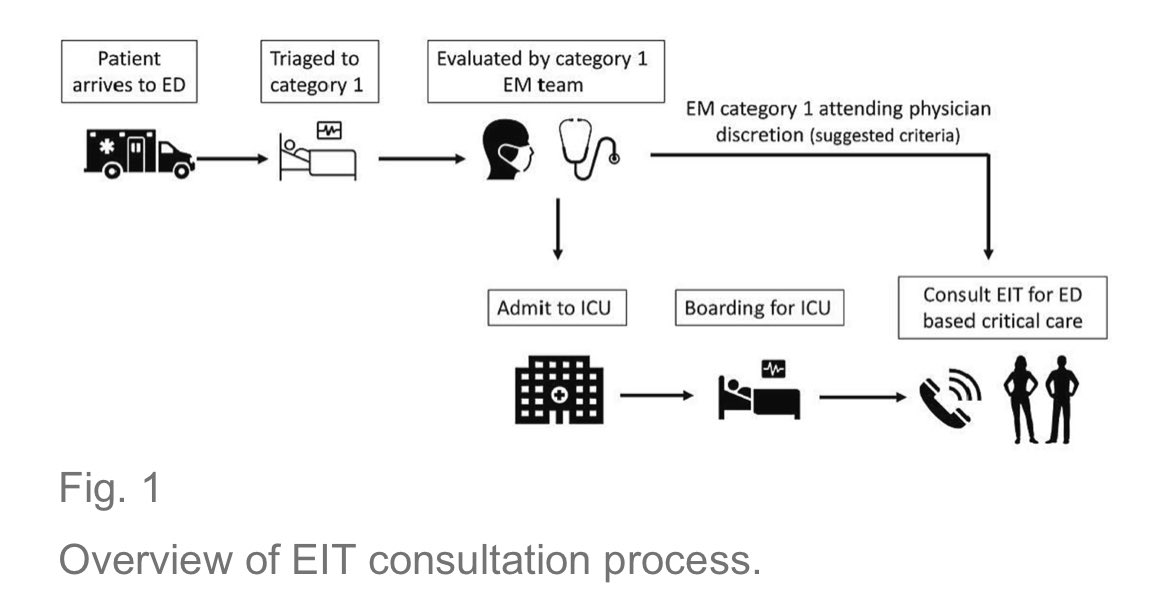 Jackie Pflaum-Carlson tweet media