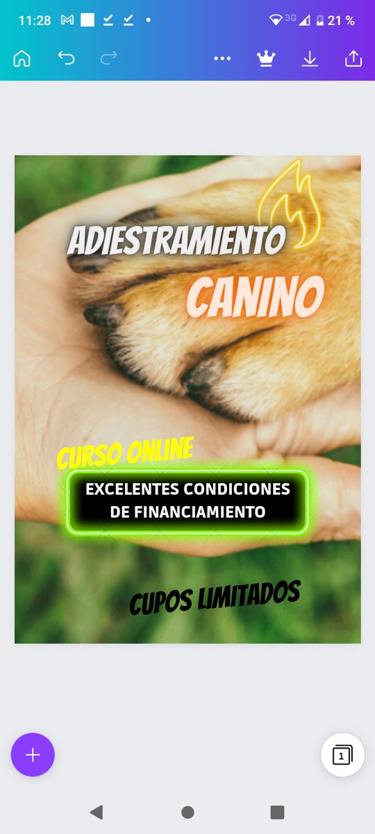 Adiestramiento canino curso online porque nuestros amigos de 04 patas se lo merecen  pulsa aquí 👇
go.hotmart.com/R78969546O