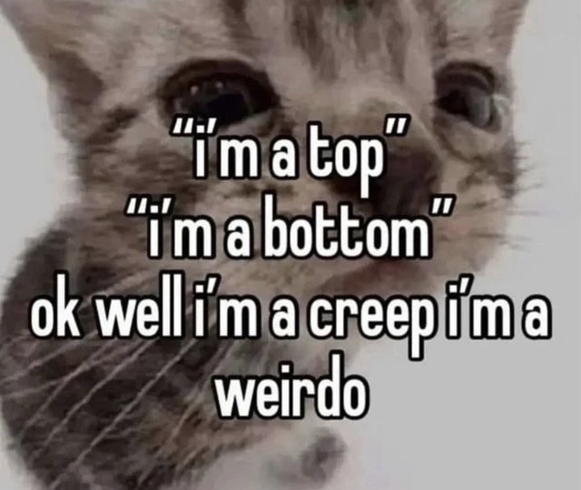 literallymecats's tweet photo. https://t.co/mZ2IdS2QmL