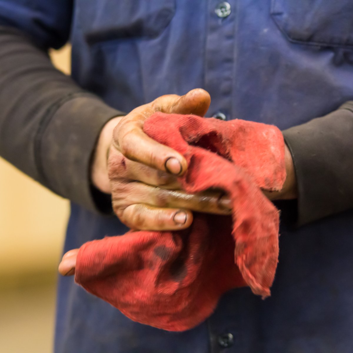 Brownie's Auto tweet media