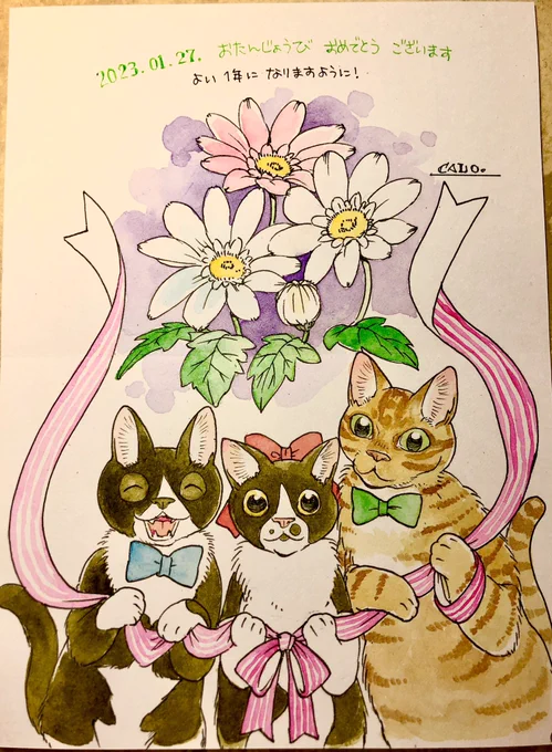 1月27日はハンゾウさんのお誕生日なのでカードを描きました 