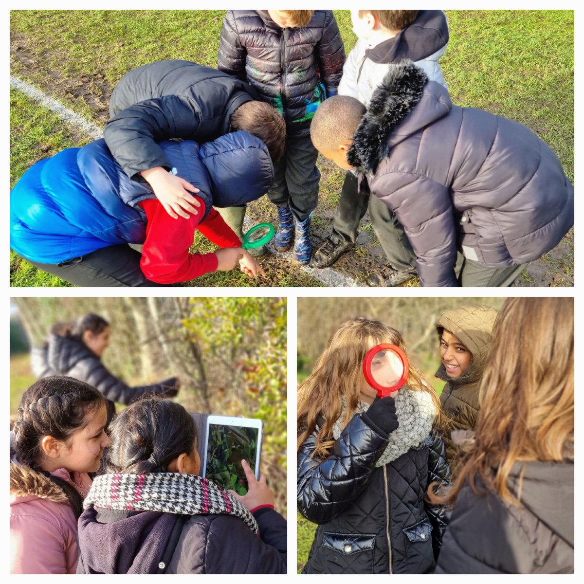 MrsMalhotraCTS's tweet photo. A wonderful wonder walk looking up, and also down below. It's amazing what you can spot when you really look @headcherrytree @CTS_Watford @Emma5Hills #CherryWeek
#LOTC #outdoorlearning https://t.co/AmKj4LiUfD