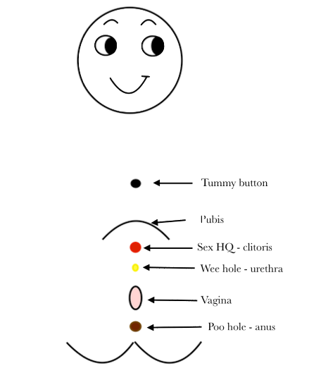 The DIY Bladder and Pelvic Floor Programme tweet media