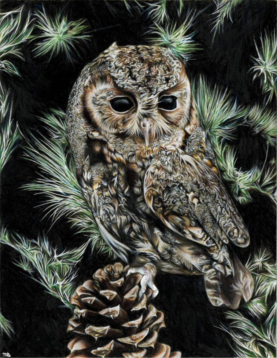 GSLBirdFest's tweet photo. Shoutout to our 2022 Student Art Contest winner...Morgan Becker - Best of Show! #gslbirdfest #flammulatedowl https://t.co/s90szwQGYu