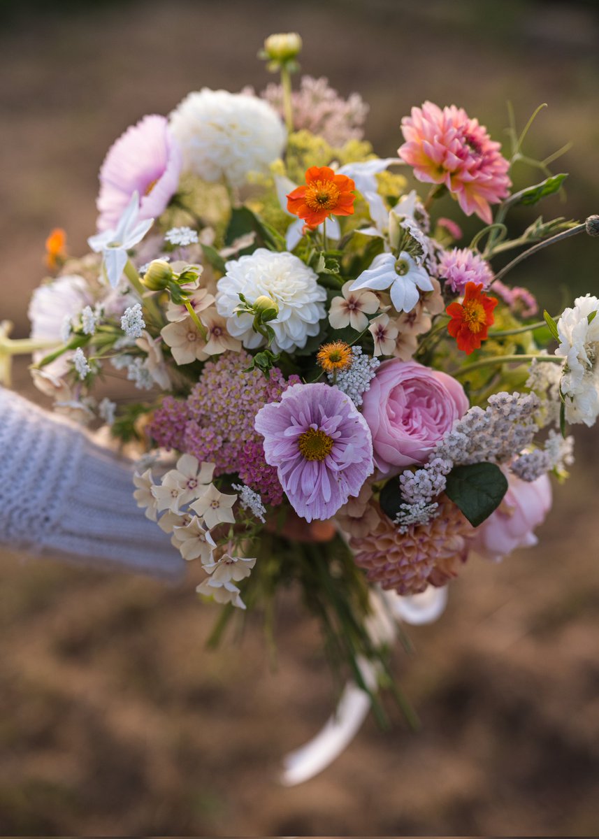 What a gorgeous day that was. Perfect day for clearing the annual flower field. We cover it with liner until late April &amp; add literally tonnes of compost. Then it's ready for planting out our seedlings. Once they grow we will be harvesting all these gorgeous blooms again.