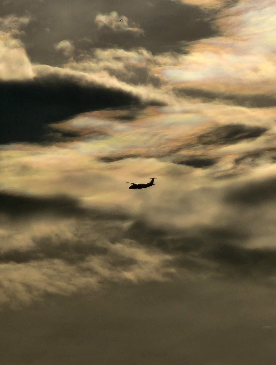 fahim_al_mahmud's tweet photo. A new photography challenge, 7 themes for 7 days, I call it #PhotoWeek 📸

Your likes and RTs encourage me to go out and take more pictures 🤗

Day 6, Airplane https://t.co/jDoM5GwZWO