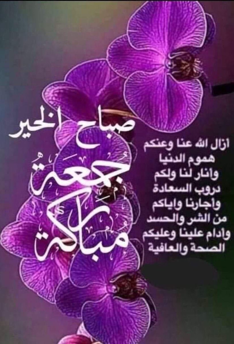 sayedmokht's tweet image. 