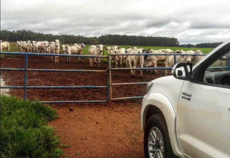 Agriculture and Young tweet media