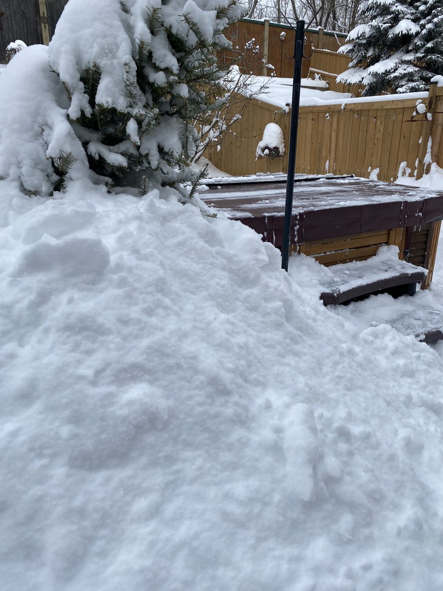 Gatorlite_1's tweet photo. We did get a lot of snow overnight! Best to stay inside &amp; watch ⁦@SewardSaints⁩ basketball teams play tonight #goodtibegreen #go24 https://t.co/7xRzcso7UZ