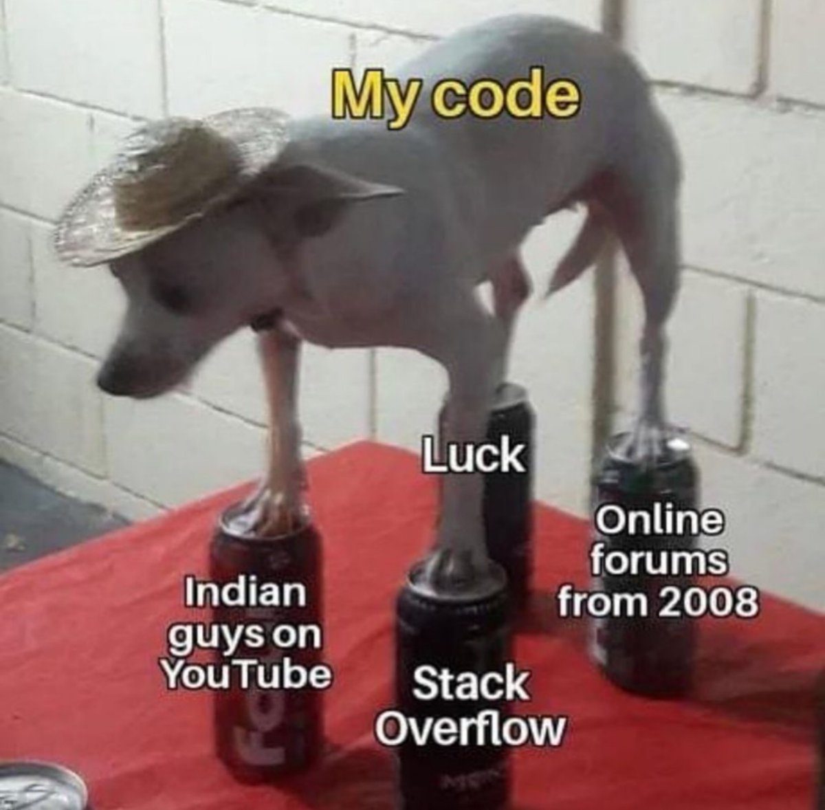 develop_memes's tweet image. 