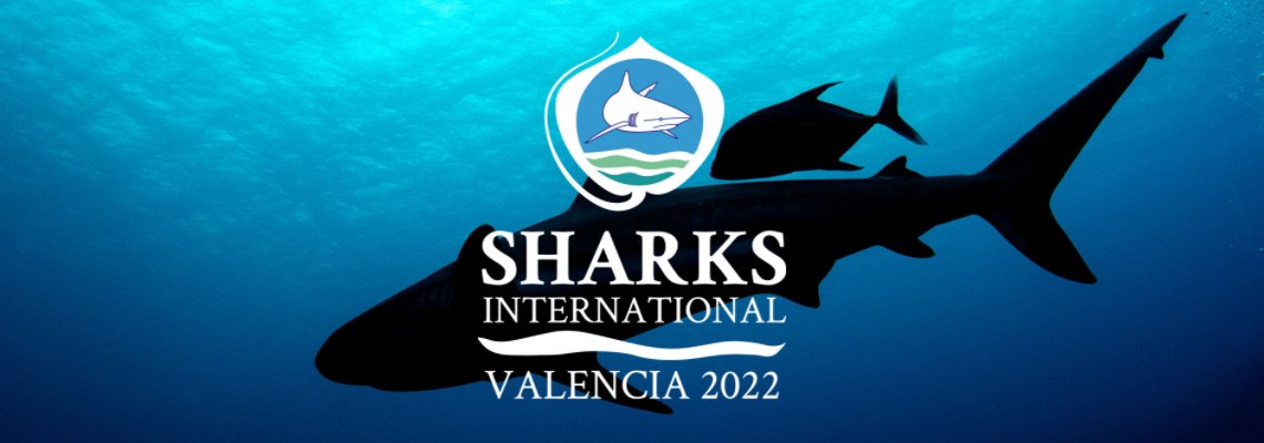 ProjectNgandu's tweet photo. Catarina Pereira Santos (@Cat_PSantos) also shared her research at @SharksInt2022, this time virtually! She presented a systematic map of global research efforts on sharks!🦈🌍 #NGANDUproject @MARE_centre https://t.co/7iODSFmI9f