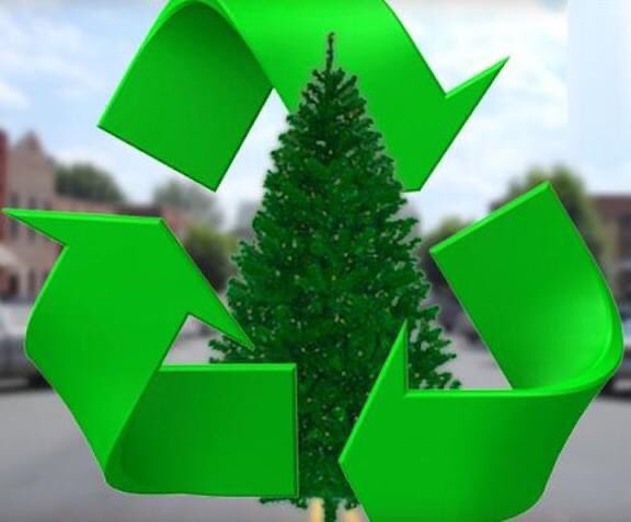 RECYCLE YOUR CHRISTMAS TREE!  Waterbury Public Works will pick up trees on the morning of Wednesday February 1st.  Put trees out the night before. This is the last pick-up of Christmas trees this season.
No ornaments, lights, tinsel or plastic bags!
No need to call to schedule.