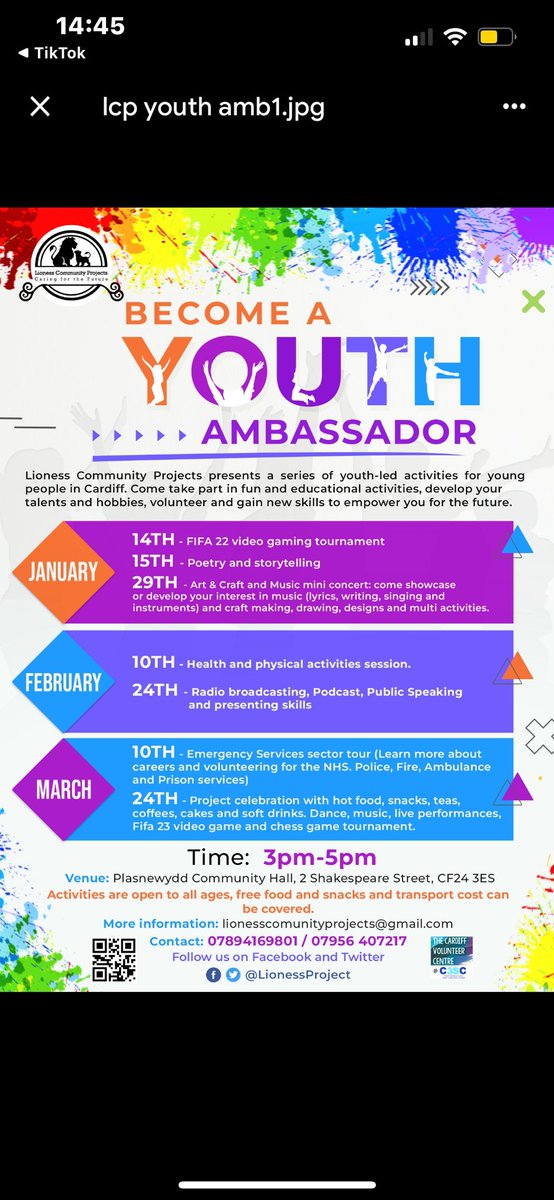 Lioness Community tweet media