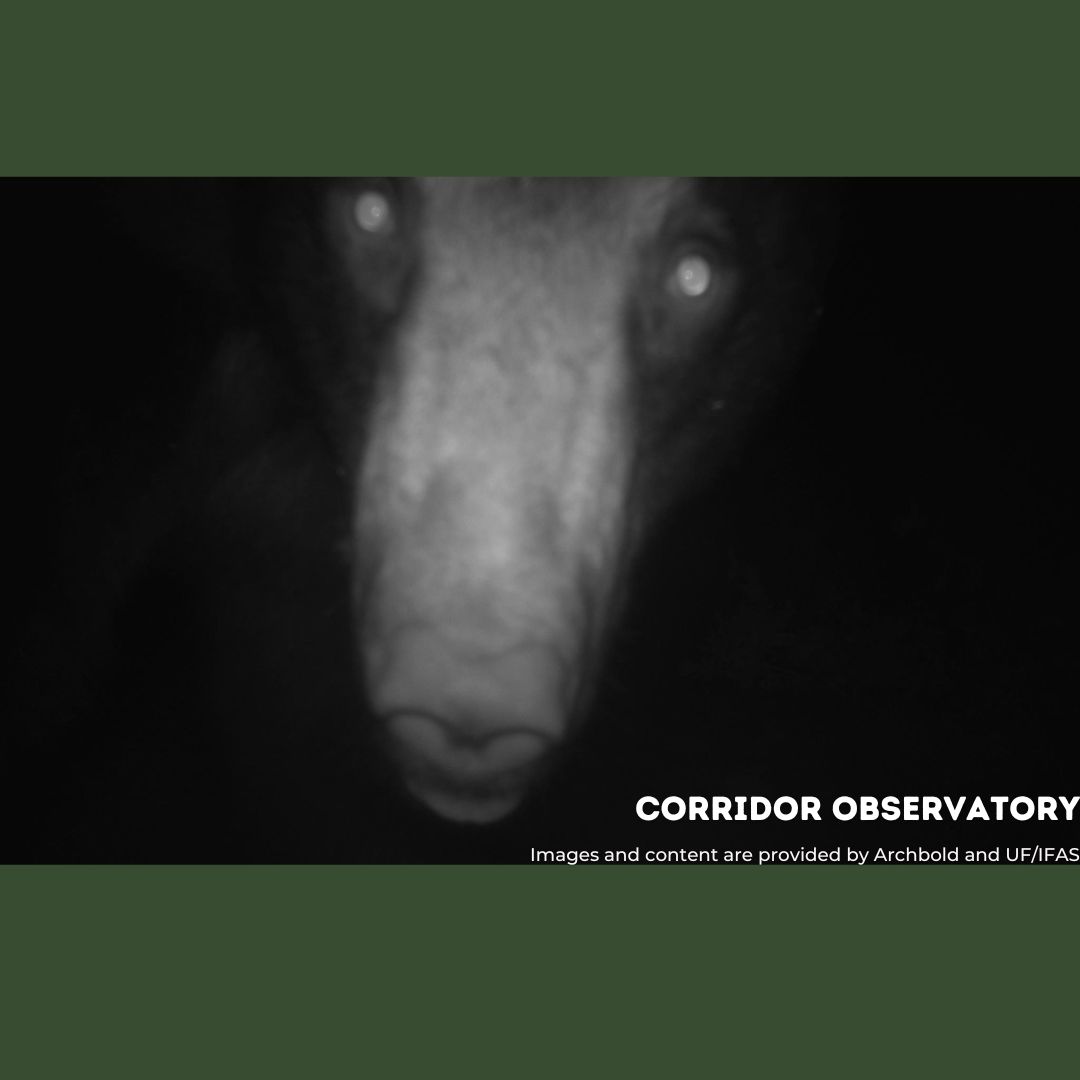 Joseph M. Guthrie tweet media