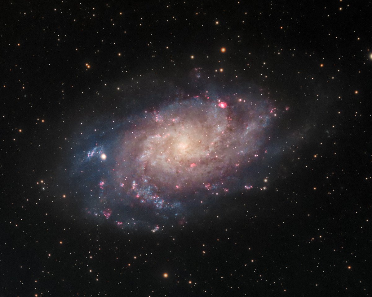 Just captured the stunning Triangulum Galaxy (M33) using my telescope!

I love seeing the red pockets of hydrogen nebulae over 2.7 million LY away 🤯 

 #Astrophotography #Space