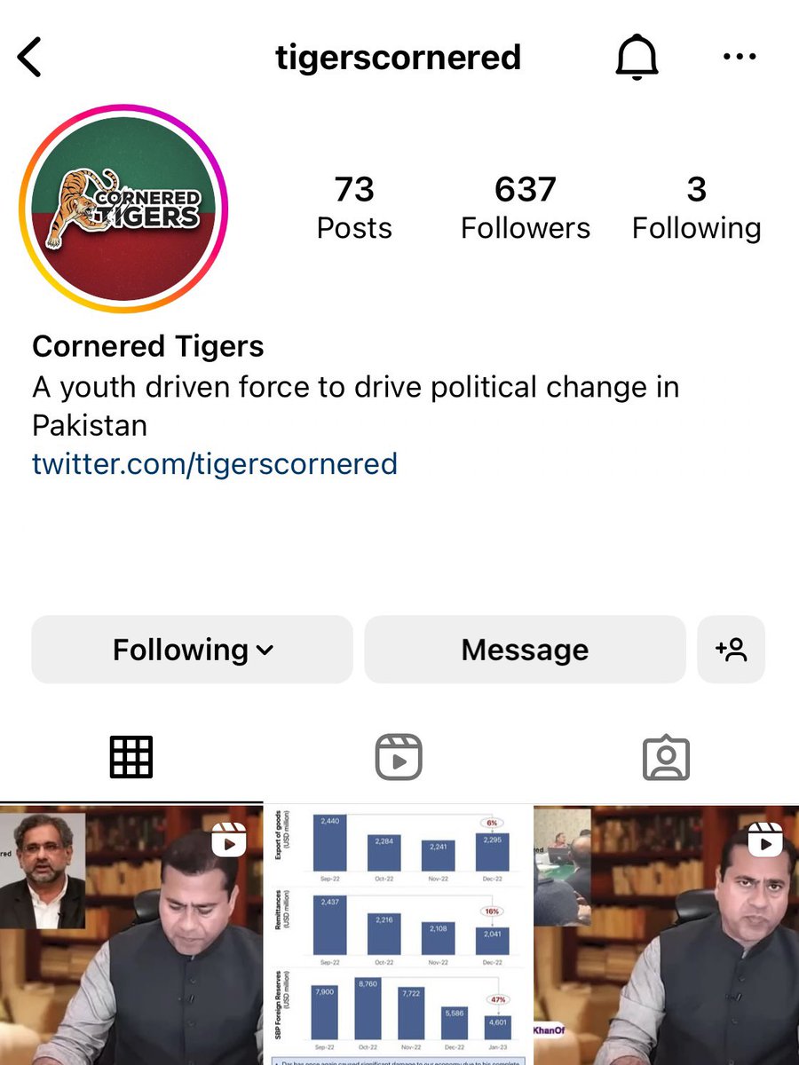 Cornered Tigers tweet media